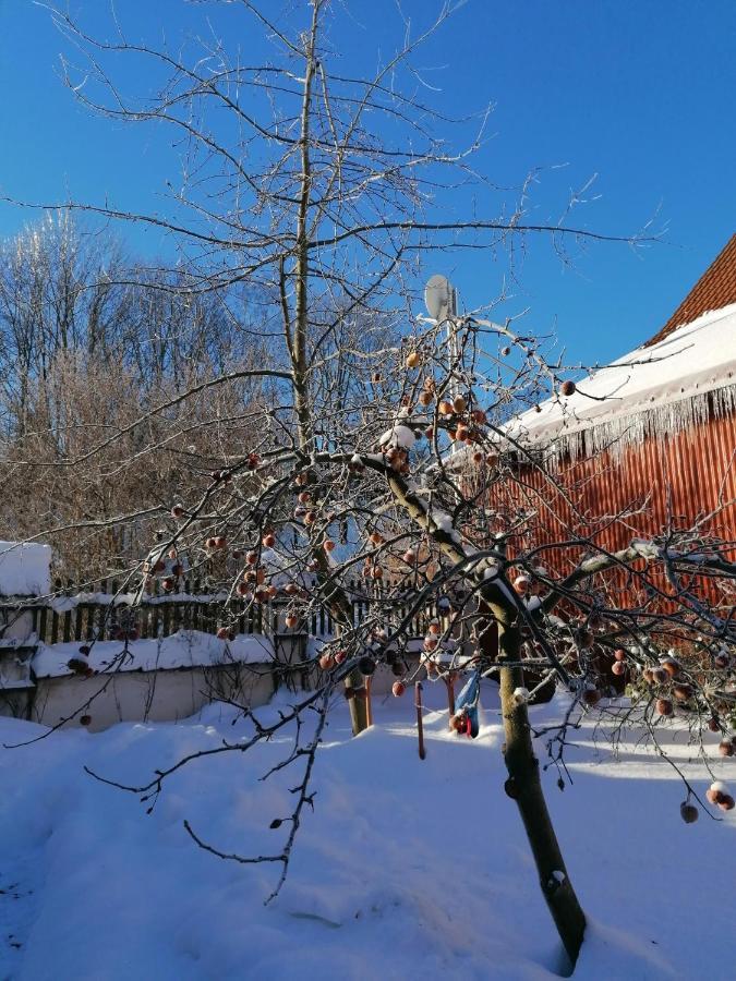 Stilvolles Ferienhaus Artdeco Wernigerode Εξωτερικό φωτογραφία